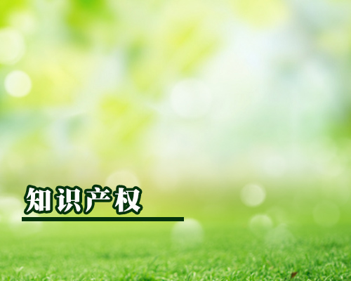 知識產(chǎn)權(quán)