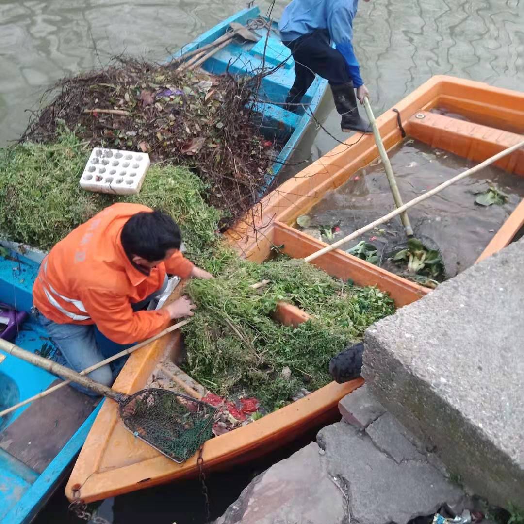 新加人在行動(圖5)