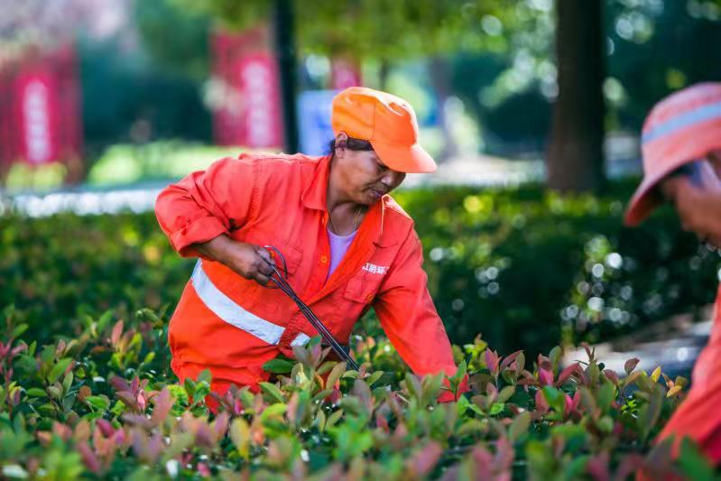 園林綠化管養(yǎng)(圖1) 園林綠化管養(yǎng)(圖1)