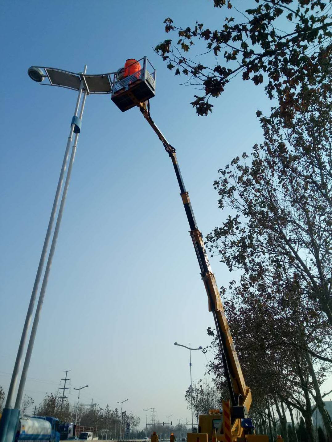 路燈管養(yǎng)(圖1) 路燈管養(yǎng)(圖1)